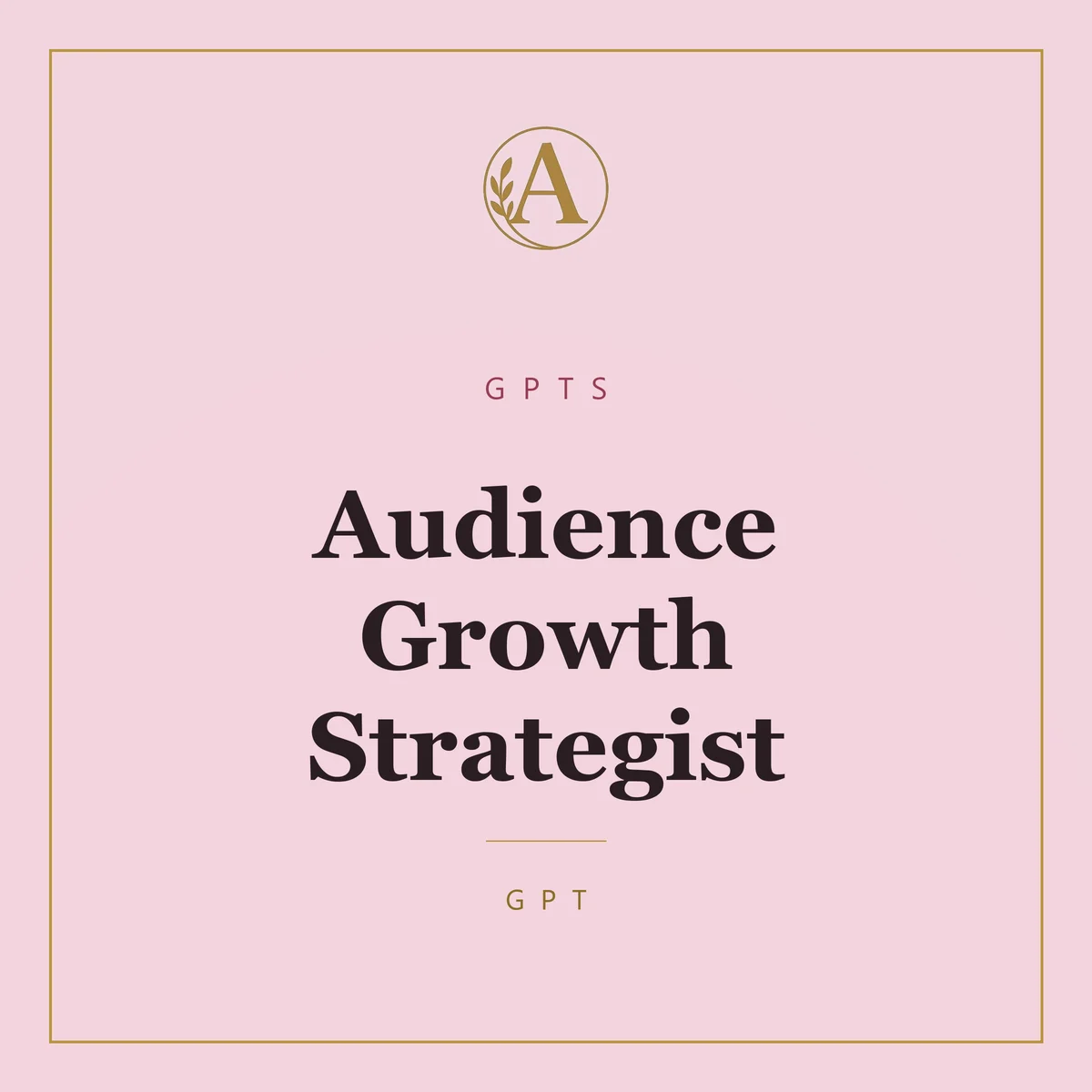 Audience Growth Strategist