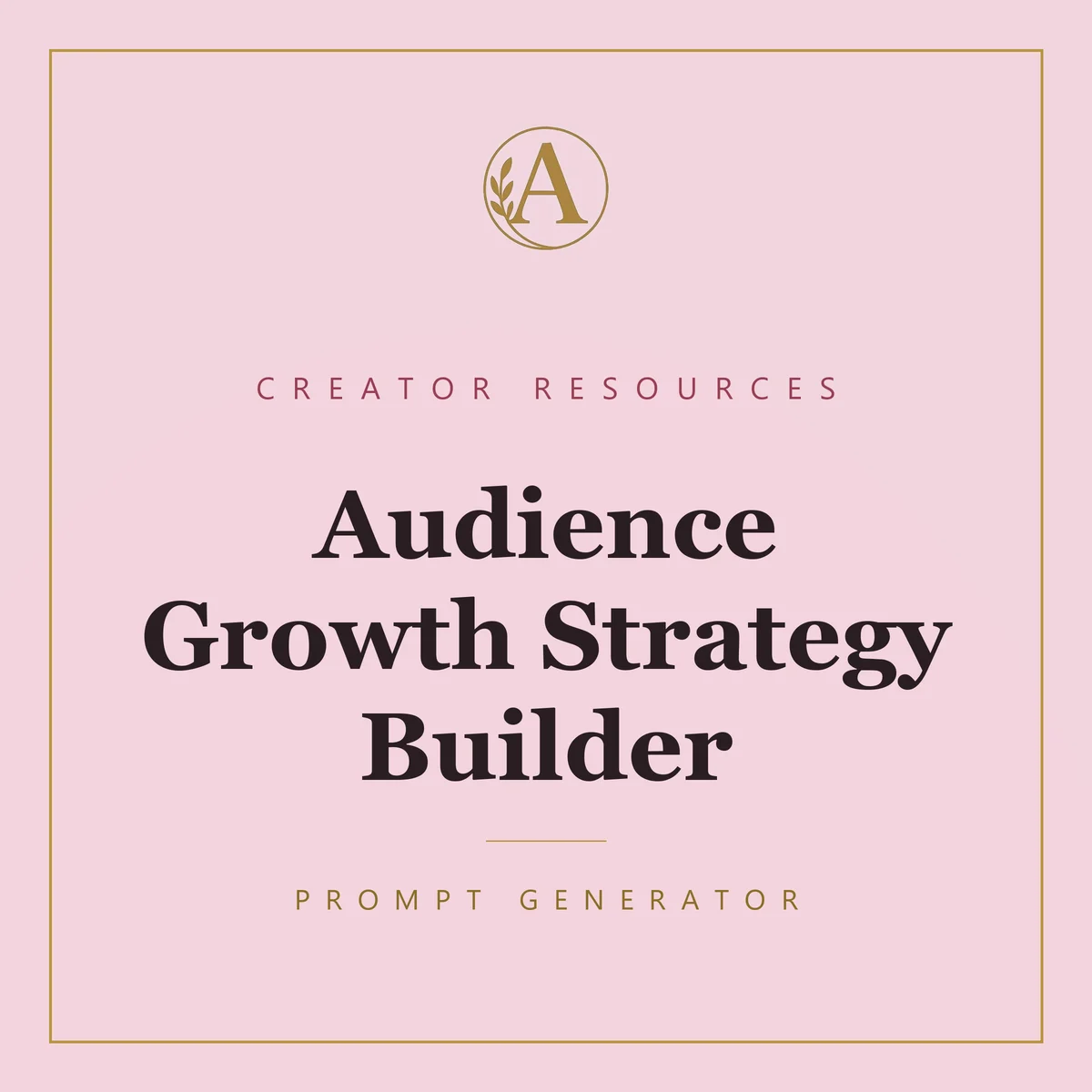 Audience Growth Strategy Builder