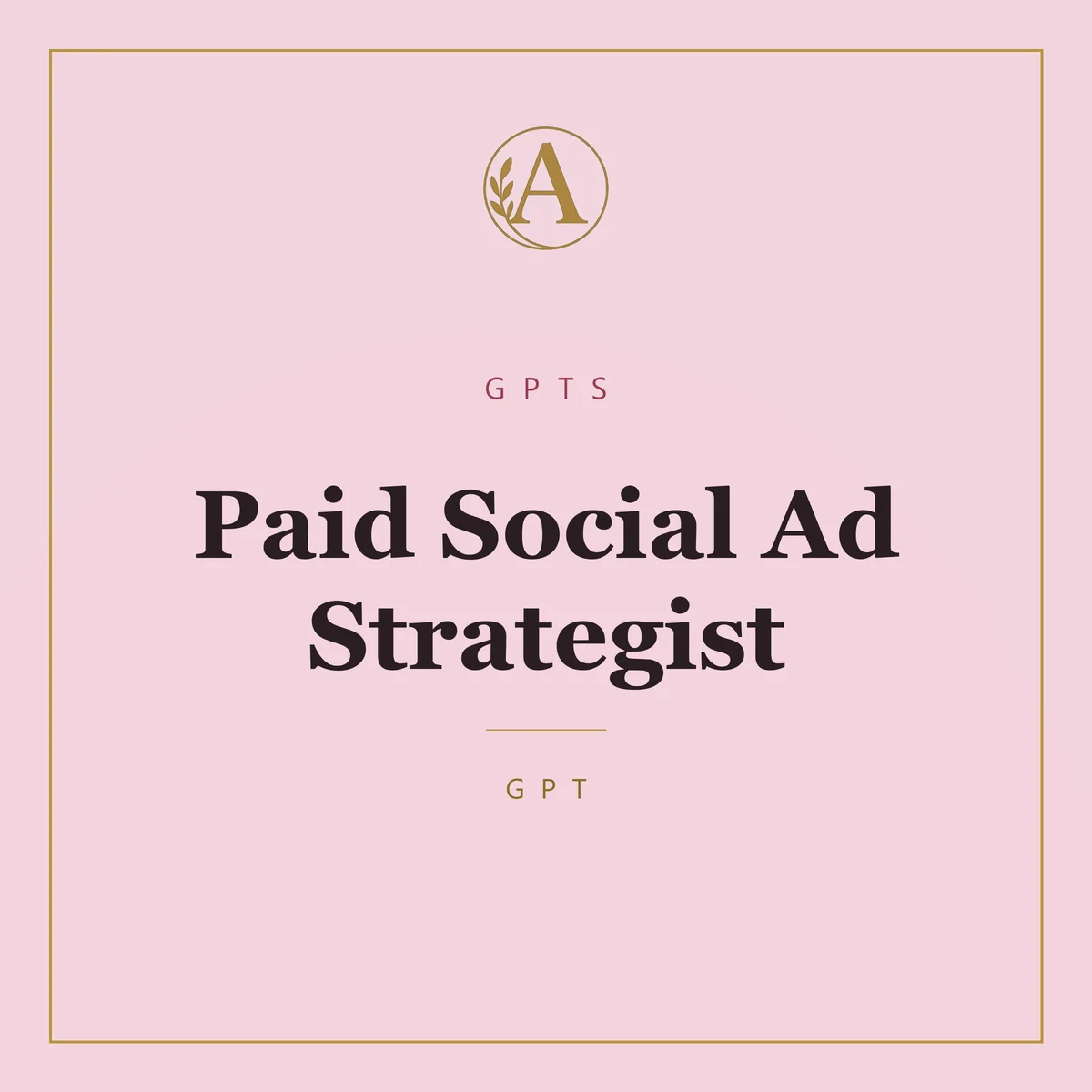 Paid Social Ad Strategist